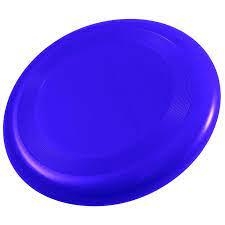 FRISBEE