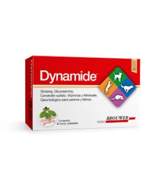 DYNAMIDE