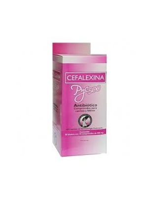 CEFALEXINA