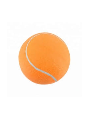PELOTA