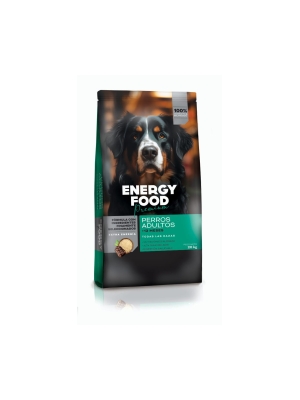ENERGY