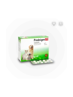 PREDNIGEN