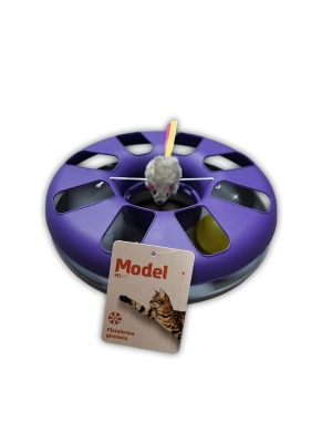 MODEL