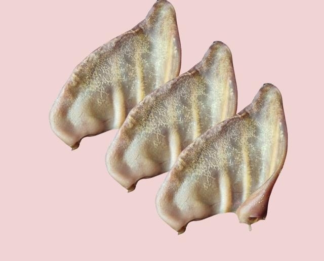 OREJA