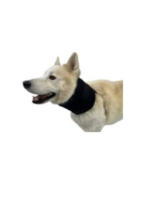 COLLAR